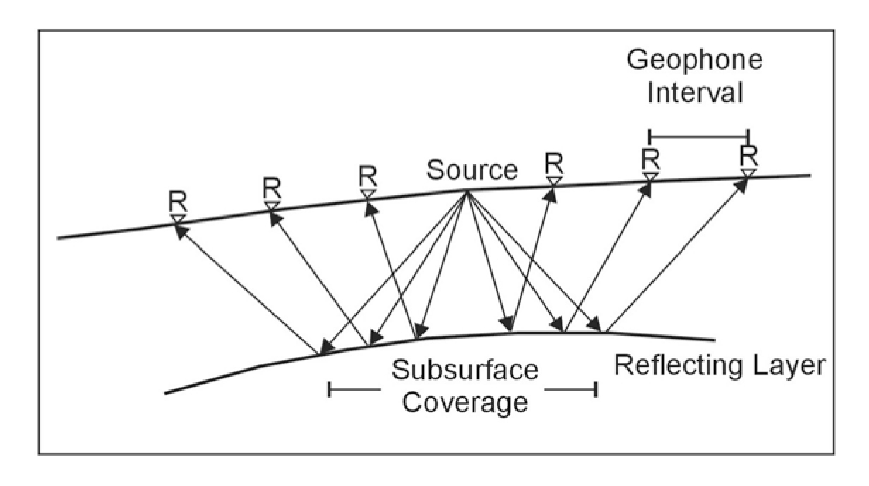 Multichannel recordings for seismic reflection.