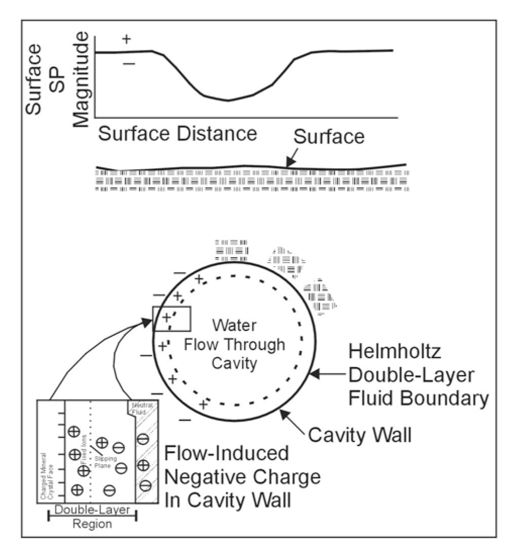 Schematic of flow-induced negative streaming potentials (Erchul and Slifer, 1989)