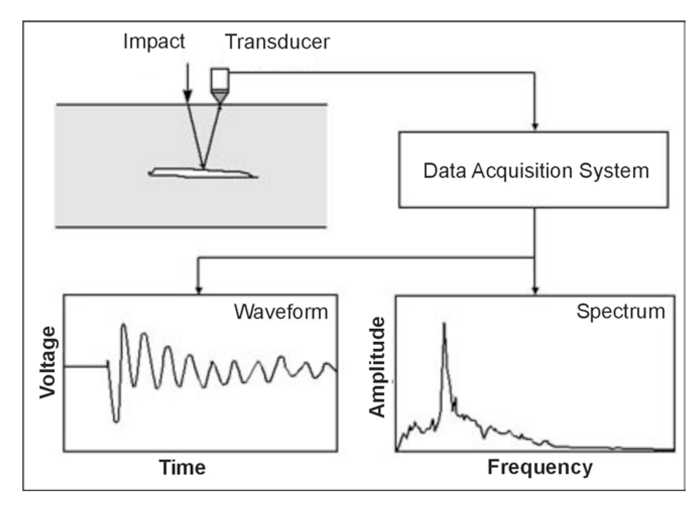 Schematic diagram of Impact Echo method.