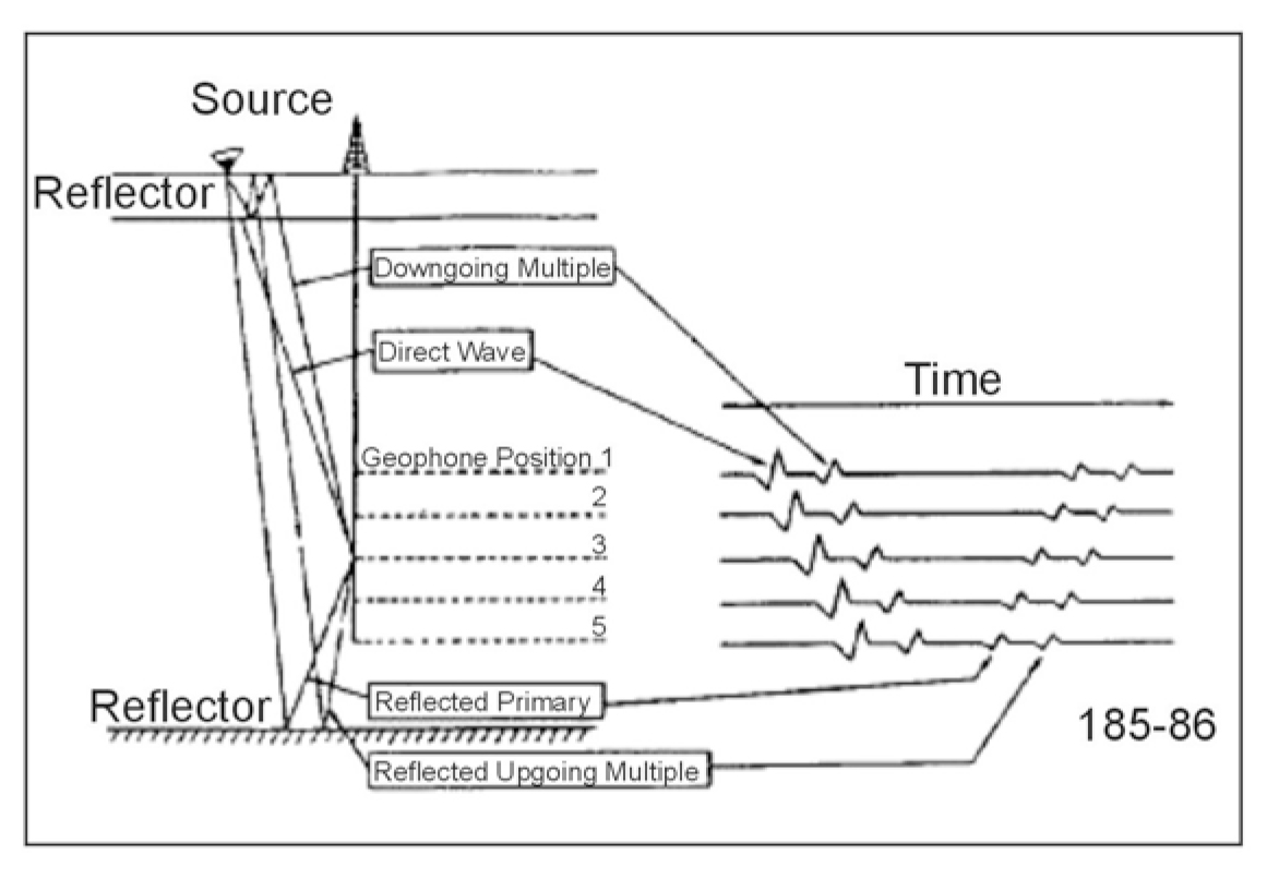 Recording of a vertical seismic profile; direct arrivals, reflected primaries, and examples of downgoing and upgoing multiples.