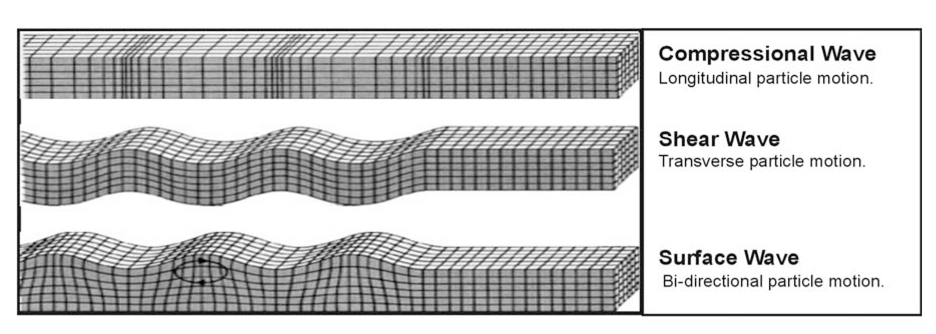 Seismic