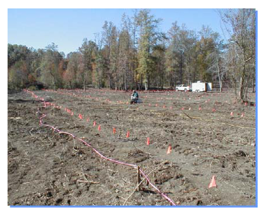 Electrode layout for a resistivity survey (Bay Geophysical).